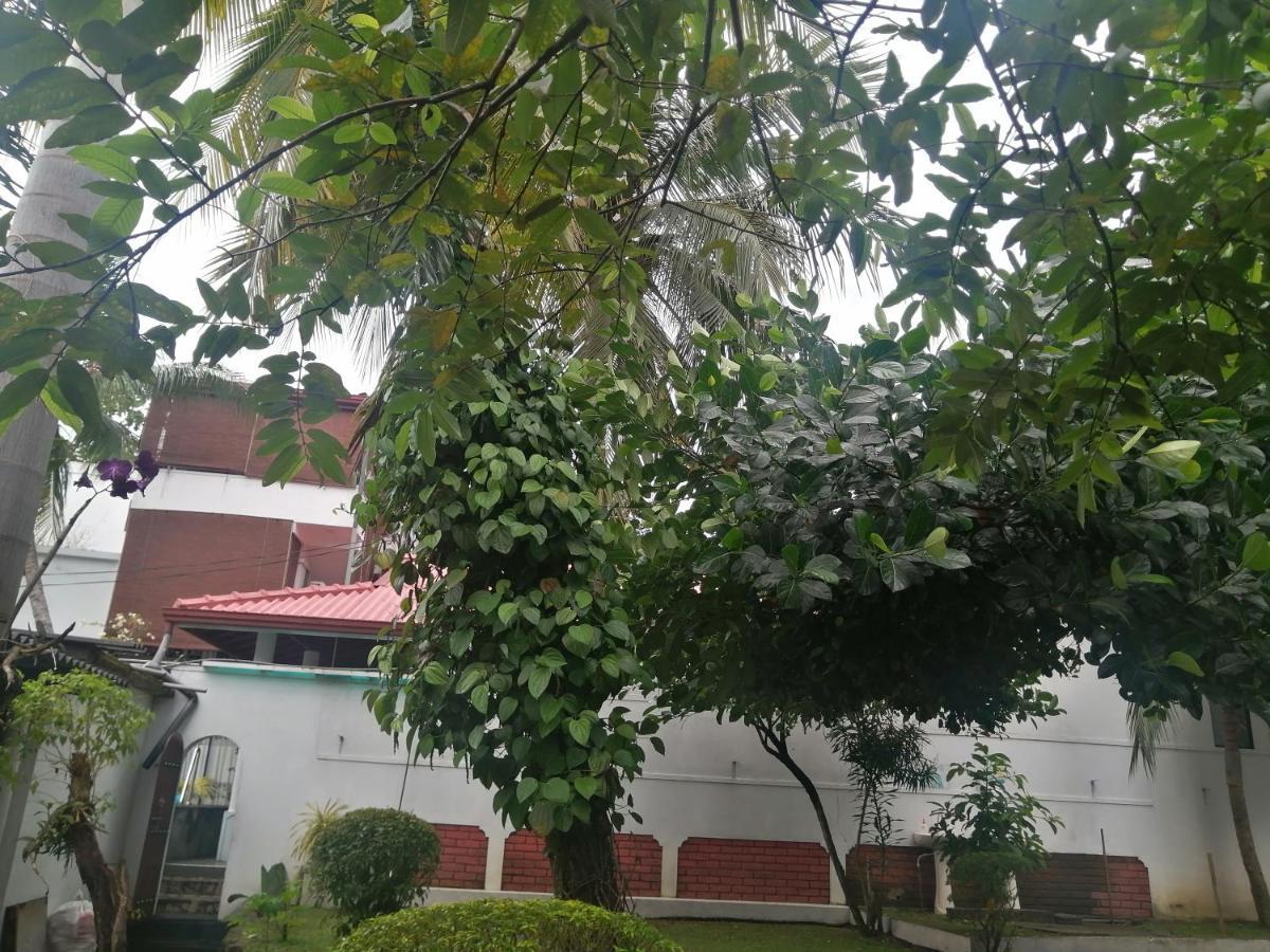 Apartamento Ibis Udawalawe Exterior foto