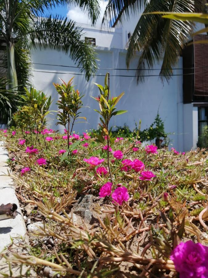 Apartamento Ibis Udawalawe Exterior foto