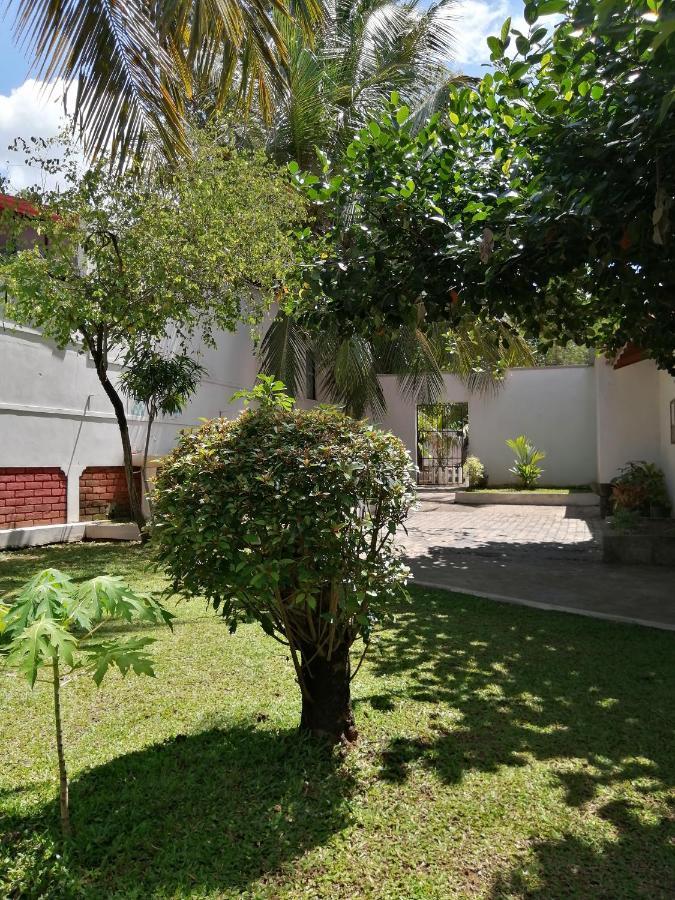 Apartamento Ibis Udawalawe Exterior foto