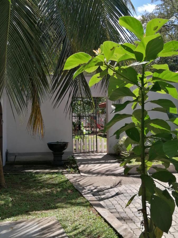 Apartamento Ibis Udawalawe Exterior foto