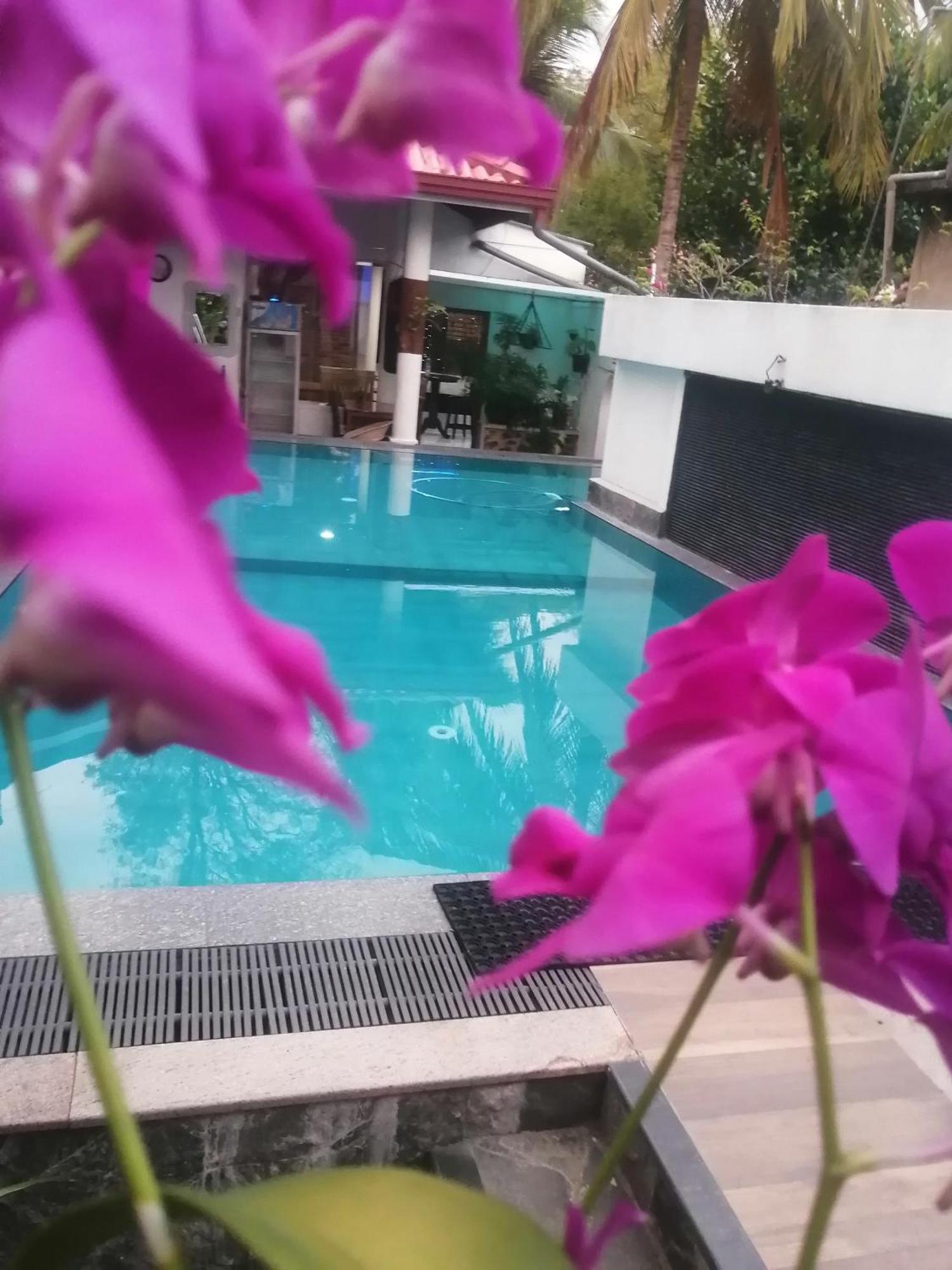 Apartamento Ibis Udawalawe Exterior foto