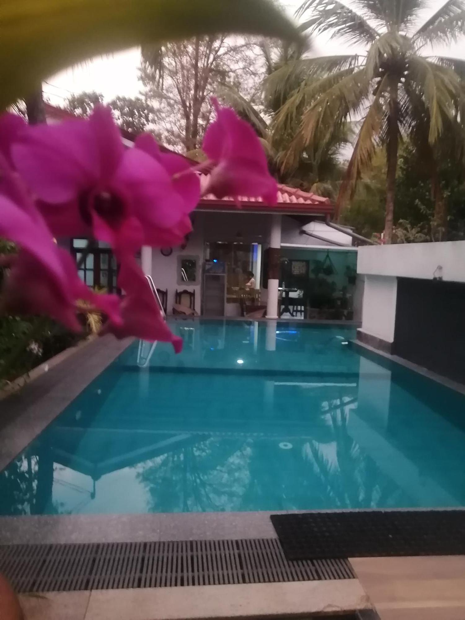 Apartamento Ibis Udawalawe Exterior foto